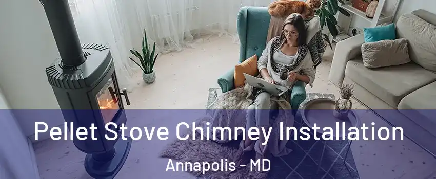  Pellet Stove Chimney Installation Annapolis - MD