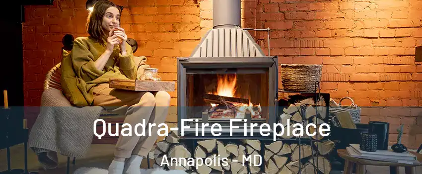  Quadra-Fire Fireplace Annapolis - MD