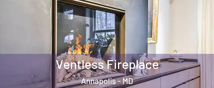  Ventless Fireplace Annapolis - MD