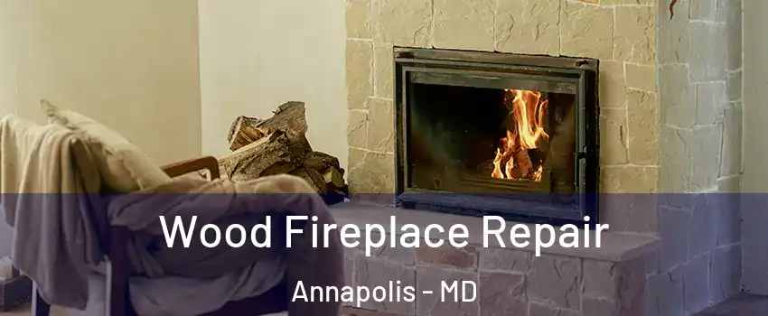  Wood Fireplace Repair Annapolis - MD